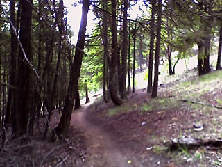 Ashland Singletrack