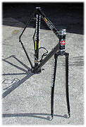 Schwinn Prelude - front view