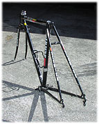 Schwinn Prelude - rear view