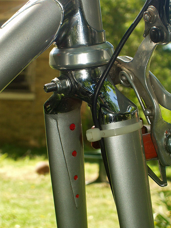 RaySport Super Corsa - fork crown detail