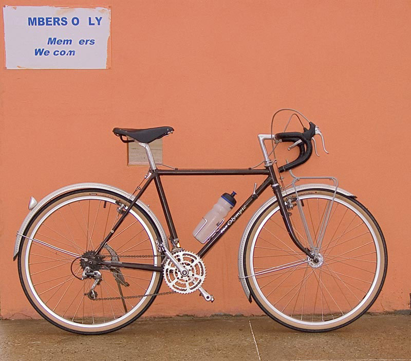 Fuji Olympic 650B - side view w/ hammered fenders