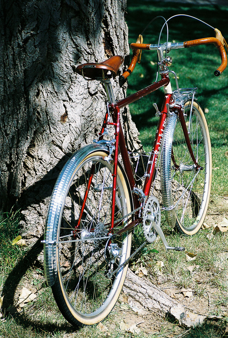 Rivendell Saluki - rear quarter view