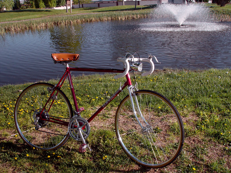 Schwinn World - drive side view