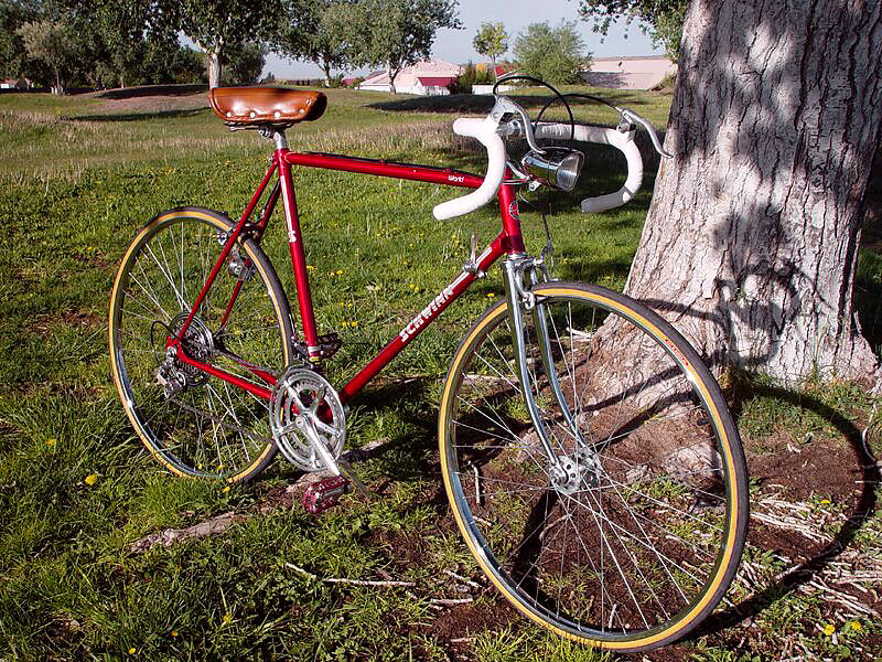 Schwinn World - front quarter view