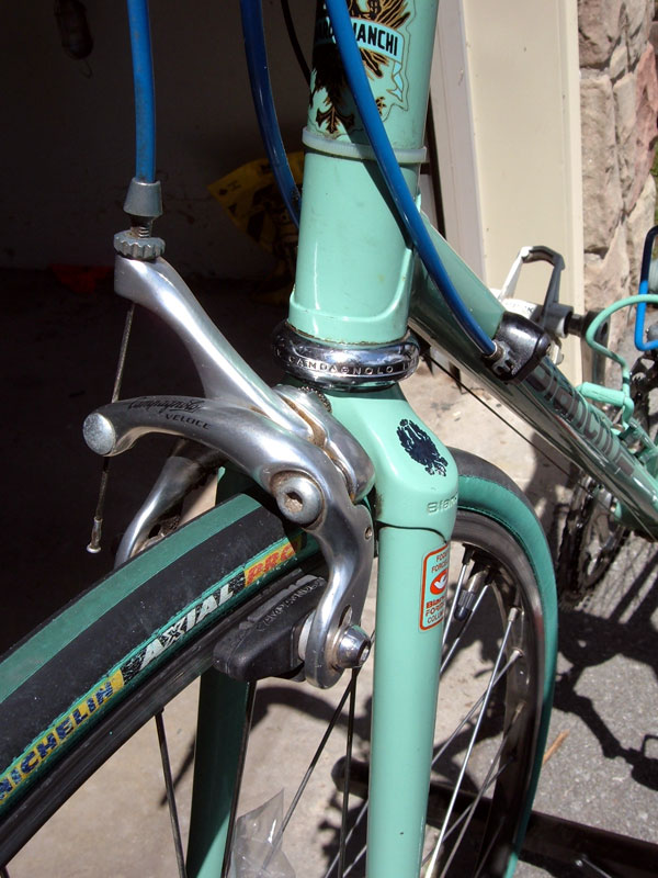 Bianchi Vittoria - fork crown and headtube