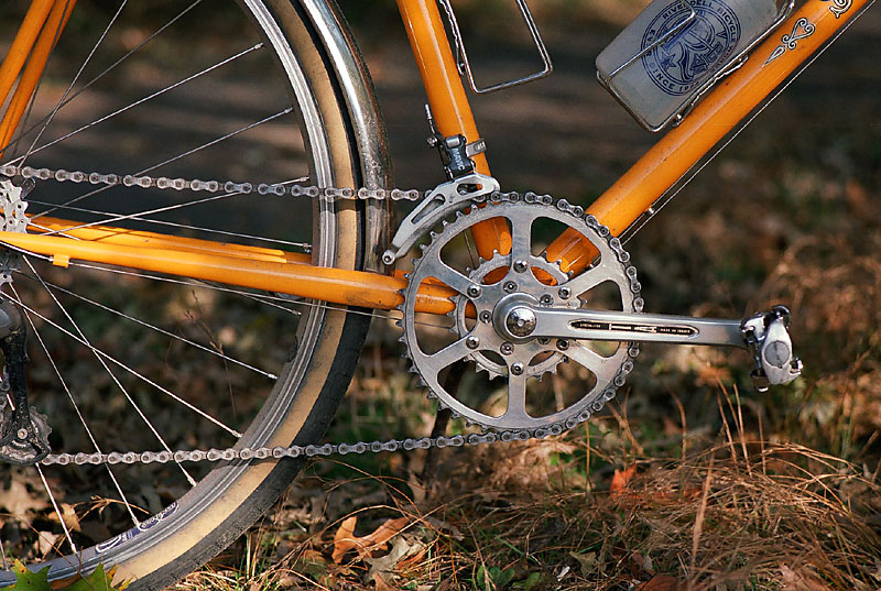 Rivendell Saluki - crankset detail