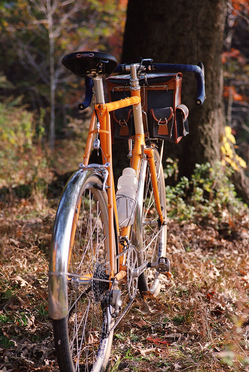 Rivendell Saluki - rear quarter view