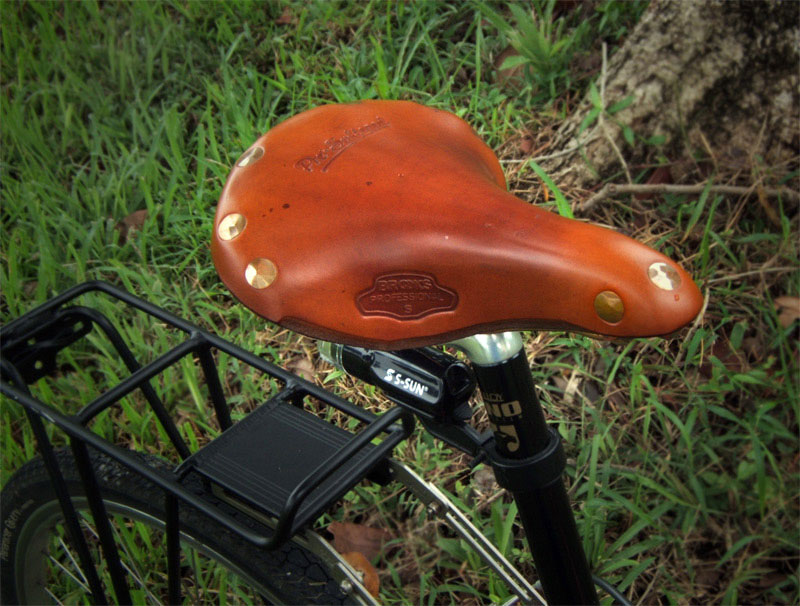 Brooks Professional Saddle detail