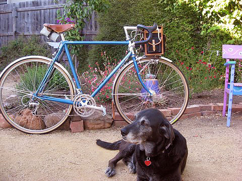 Litton Randonneur - with good buddy Zoya