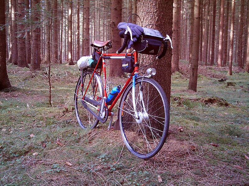 Sloughi Randonneur - front quarter view