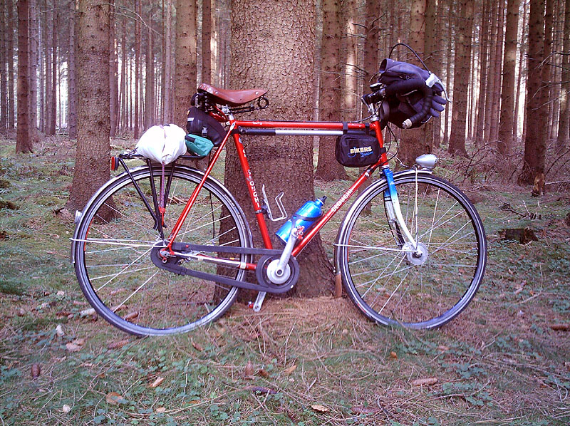 Sloughi Randonneur - woodsy side view