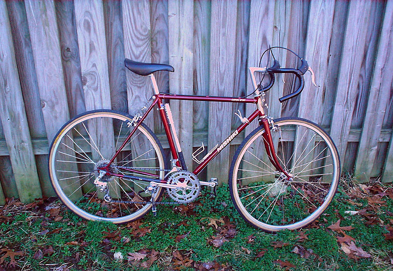 Nishiki Custom Sport - side view