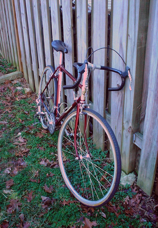 Nishiki Custom Sport - front quarter view