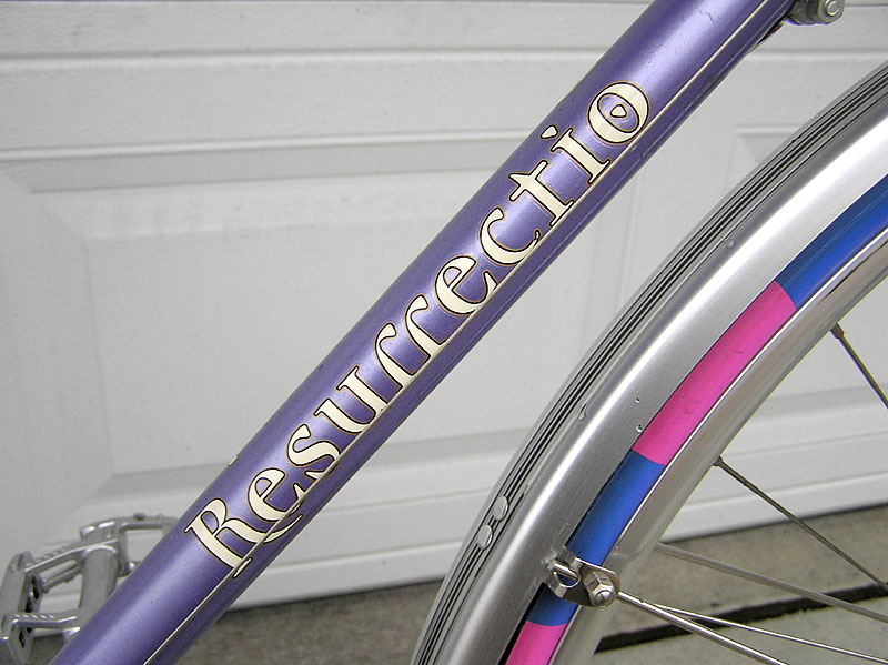 Puch Pathfinder - resurrectio decal detail