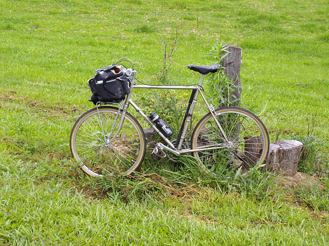 Raleigh 650B Conversion - grassy backdrop