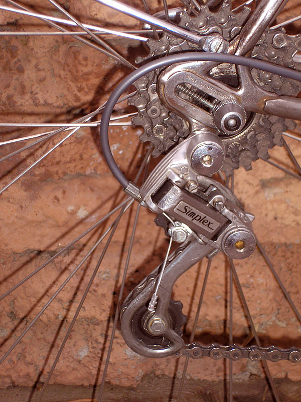 Eurotrash - rear derailleur detail