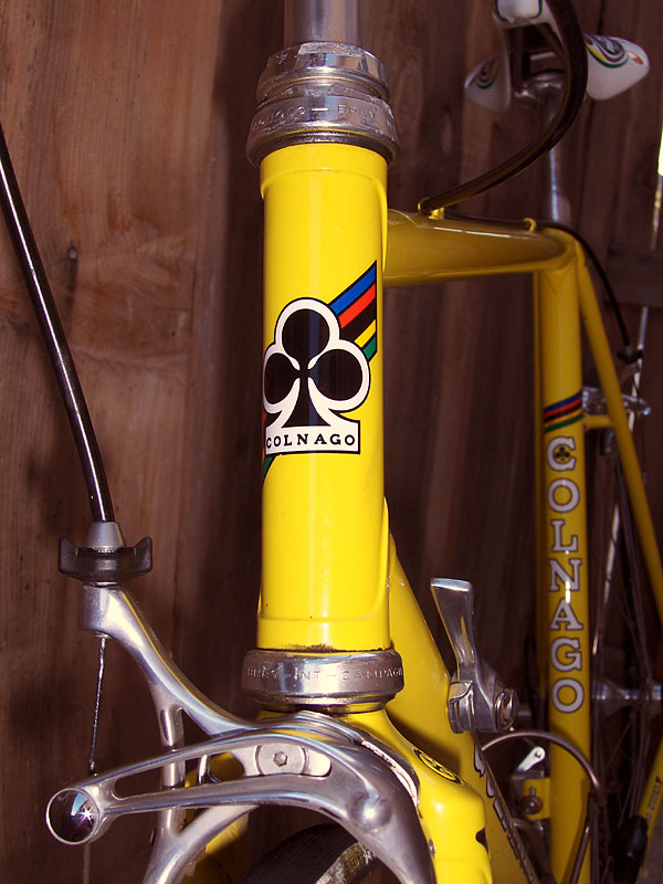 Colnago Super - Headtube and Skeleton