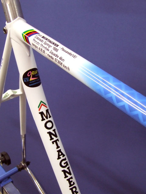 Montagner TT Bike - frameset detail