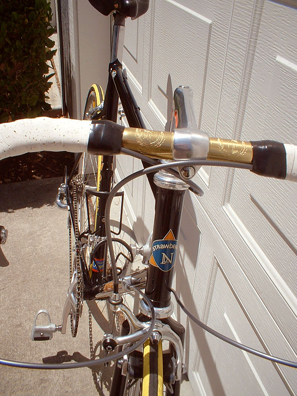 Strawberry - headtube detail