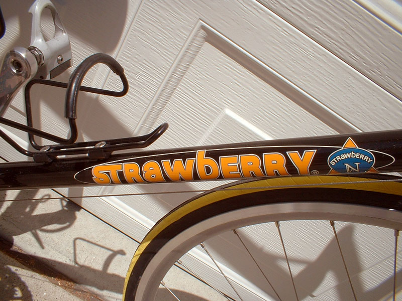Strawberry - decal detail