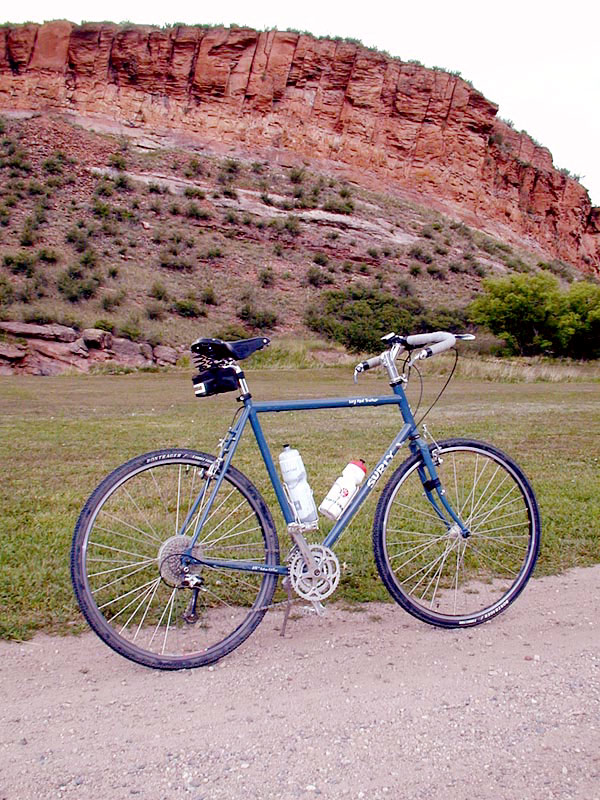 Surly Long Haul  Trucker - fenderless and mustachioed