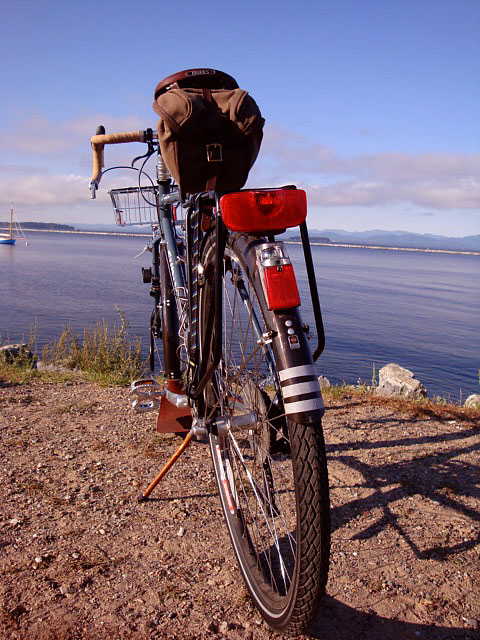 Surly Long Haul Trucker - rear angle view