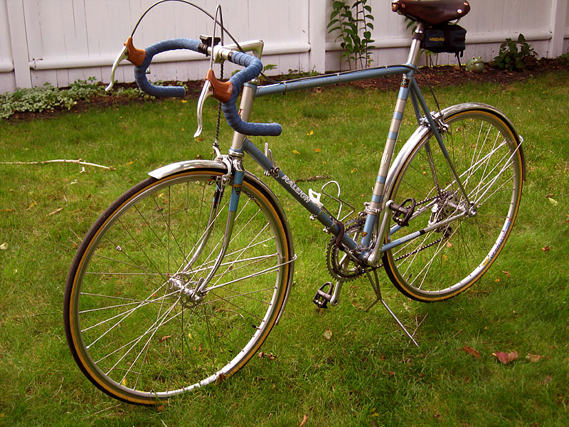 Raleigh Professional - non-drive side view