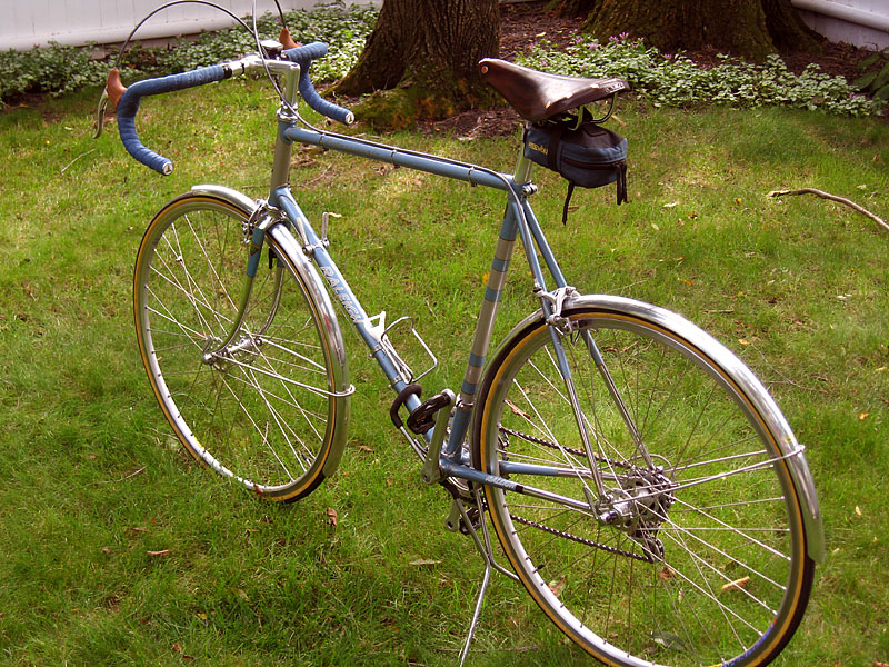 Raleigh Professional - rear angle view