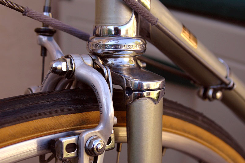 Coppi Fiorelli - fork crown detail