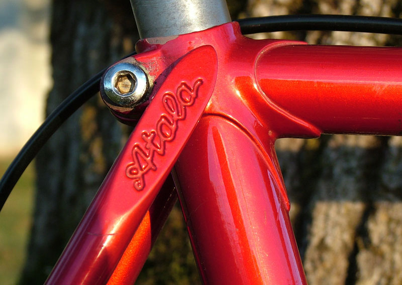 Atala Corsa Pro - seat cluster detail