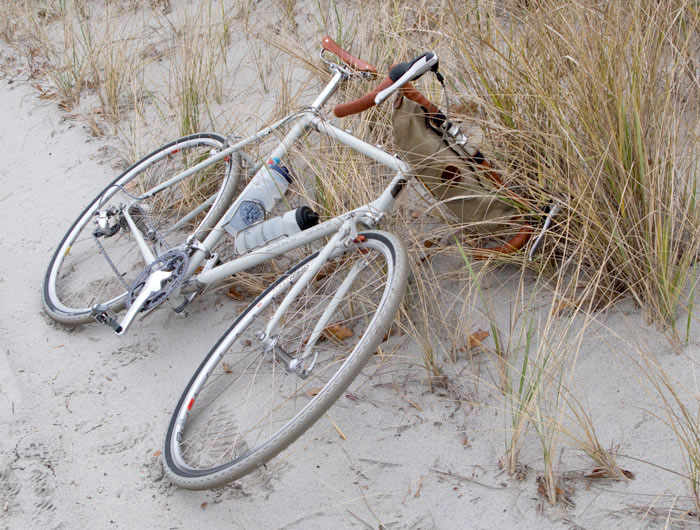 Courage Travel/Tour - in the dunes