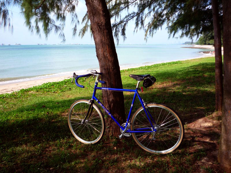 SOMA Smoothie ES - Hanging at the beach