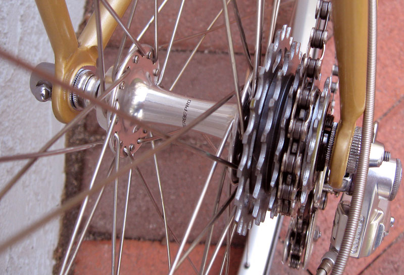 Nishiki ONP - rear hub detail