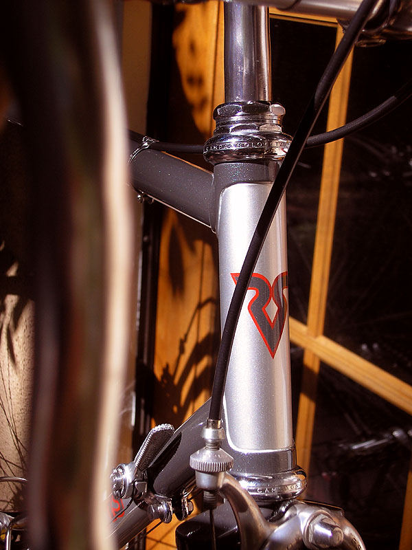 Richard Sachs Road - headtube detail