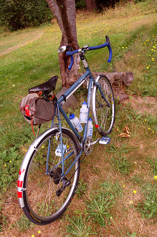 Surly Long Haul Trucker - rear angle view