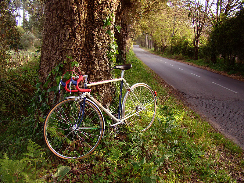 Mariposa - on the roadway