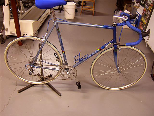 Gazelle Trim Trophy - side view