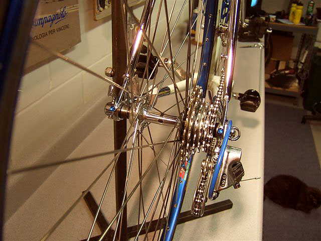 Panasonic DX-4000 - Chromed Rear Stays