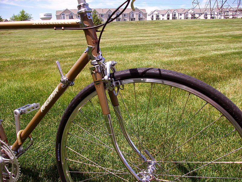 Raleigh International - fork detail