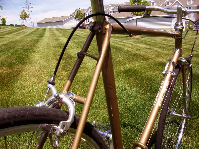 Raleigh International - rear brake detail