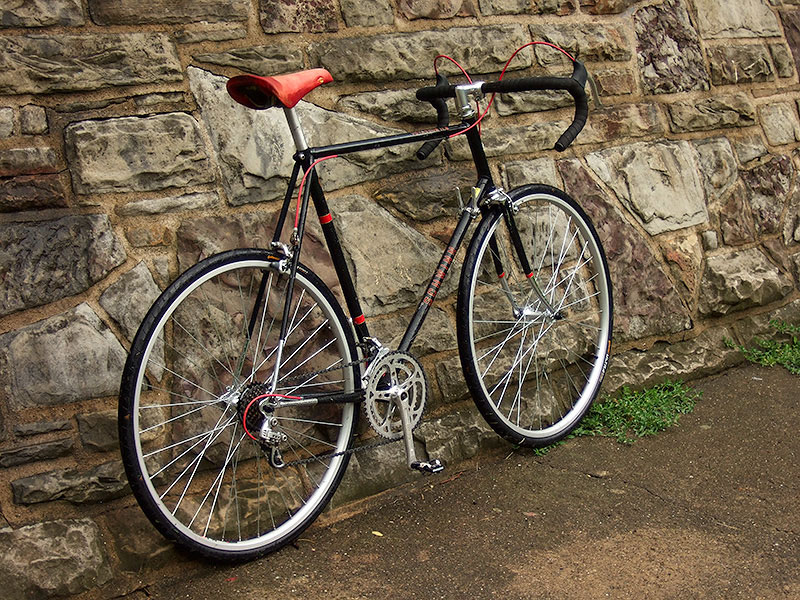 Schwinn Voyageur - rear angle view