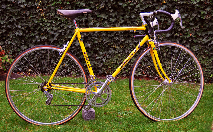 Gazelle Champion Mondial - side view