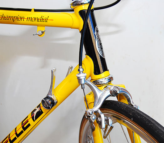 Gazelle Champion Mondial - front end detal