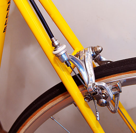 Gazelle Champion Mondial - rear brake detail