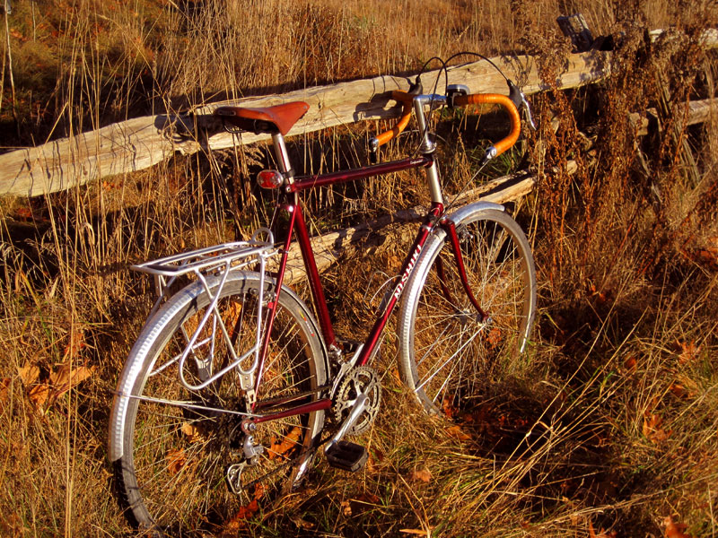 Nishiki Continental - rear angle view