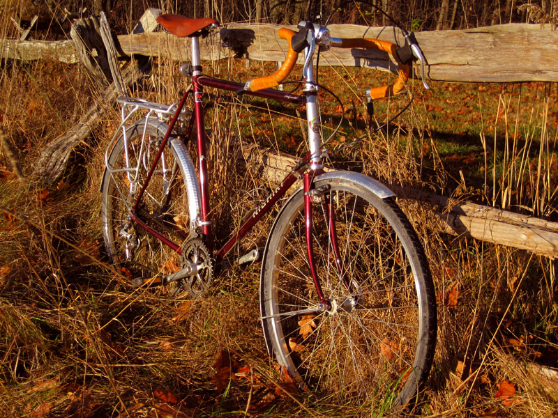 Nishiki Continental - front angle view