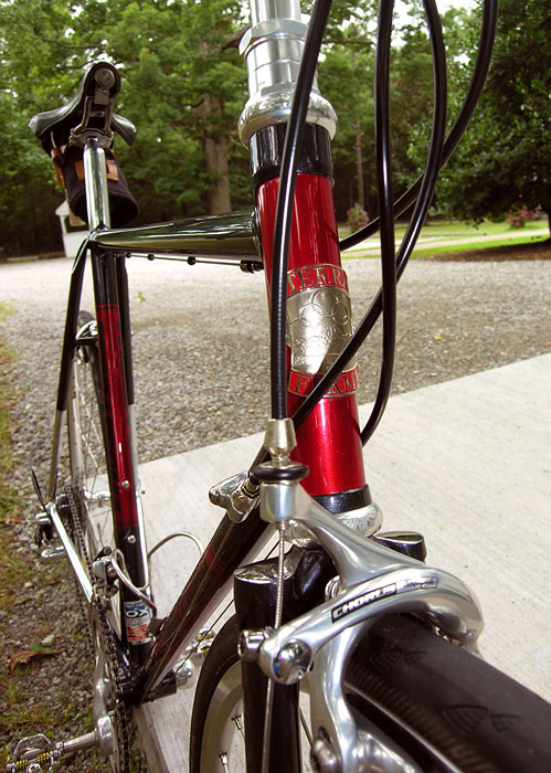 Terraferma Road Sport - front end detail