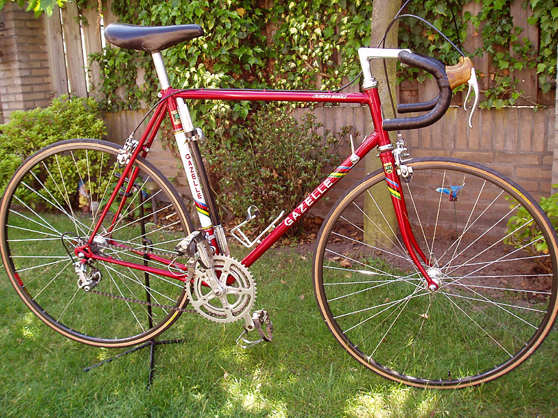 Gazelle Champion Mondial - side view