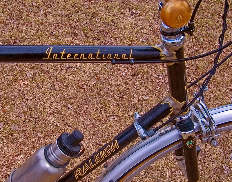 Raleigh International - front end detail