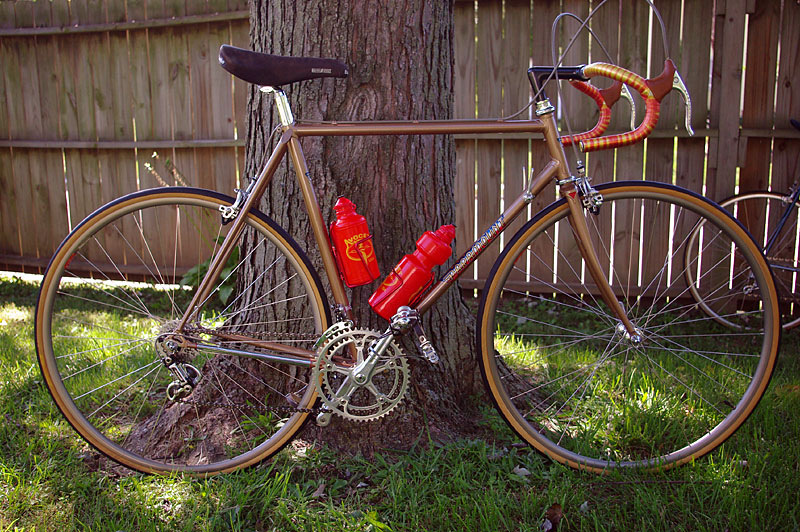 Schwinn Paramount - side view